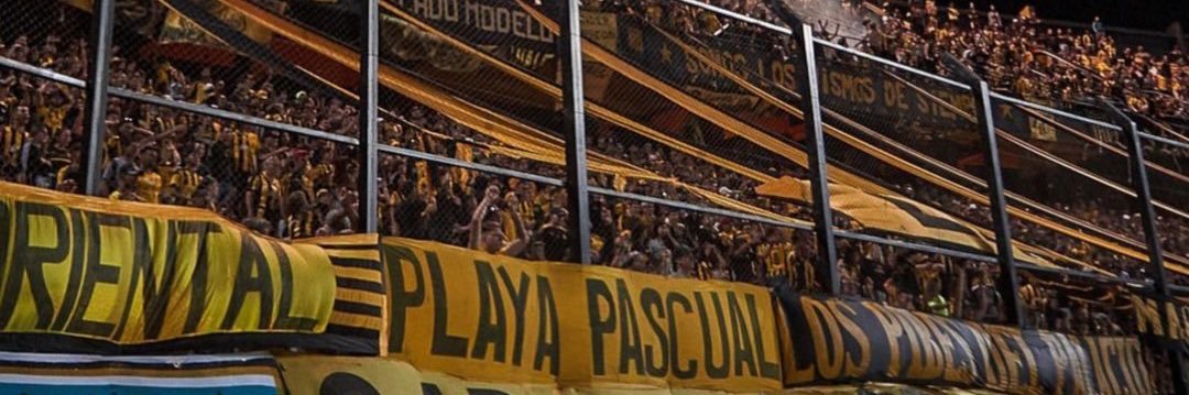 FZoccolini's profile banner image