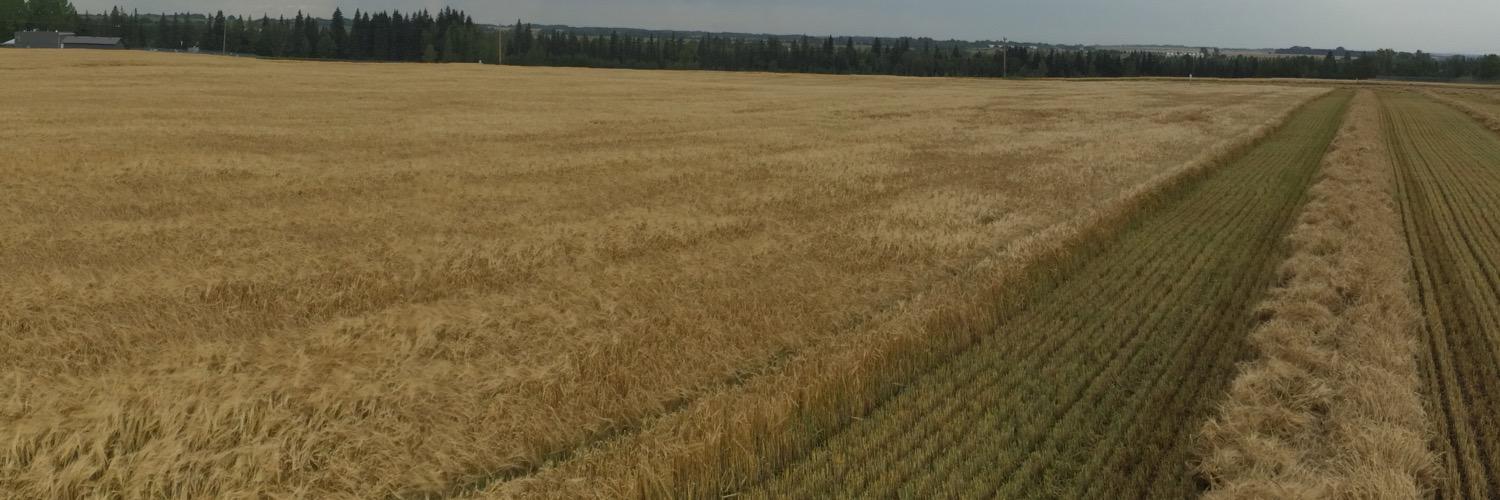 KempFarms's profile banner image