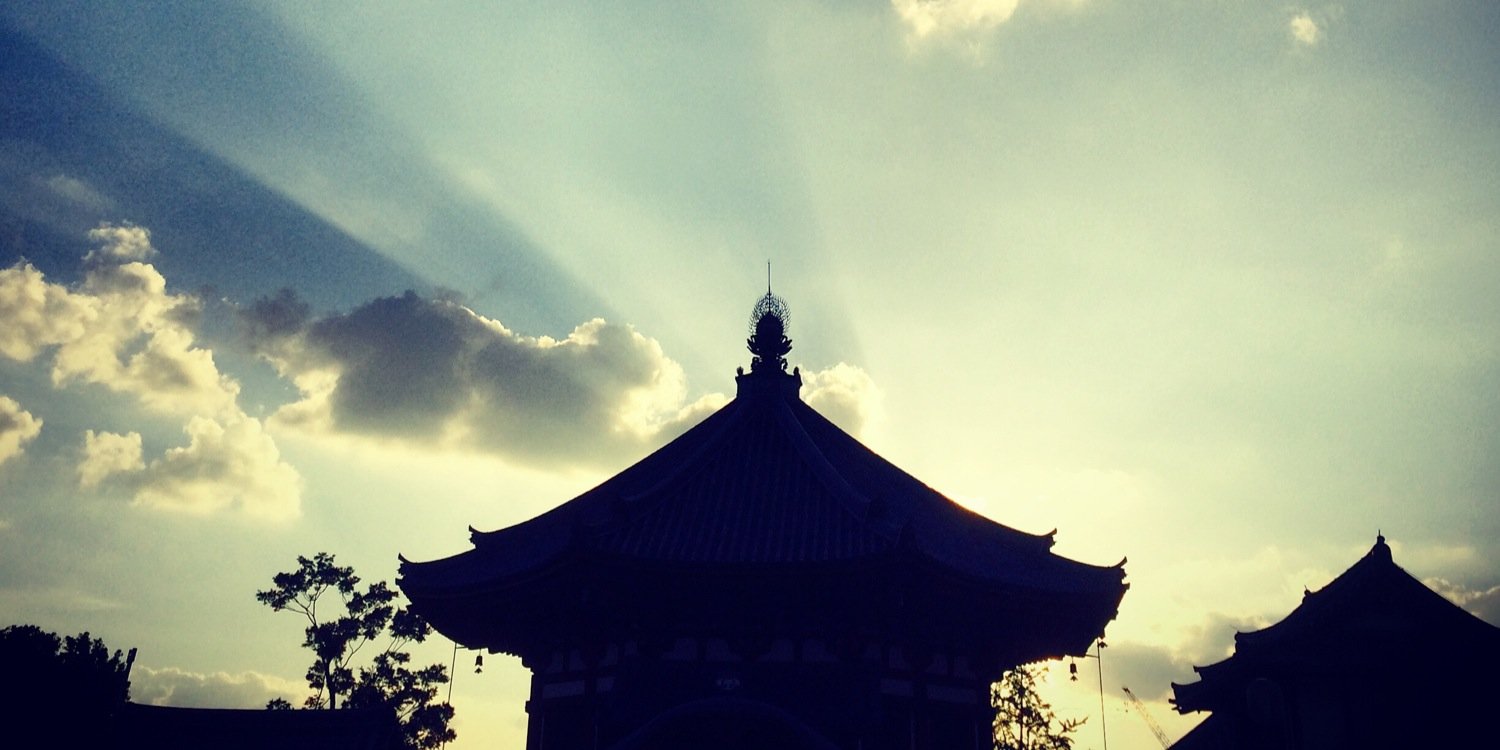 2445124451's profile banner image
