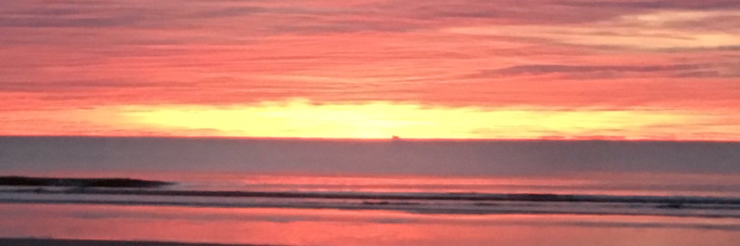 CriswellAngela's profile banner image