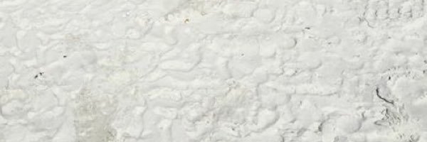 confidentnashew's profile banner image