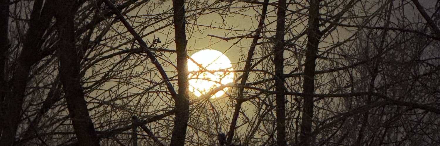 Danielle Bellemare banner