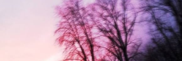 aintlrh's profile banner image