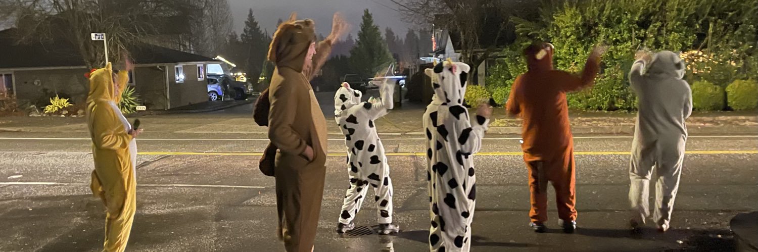 GideonLapwater's profile banner image