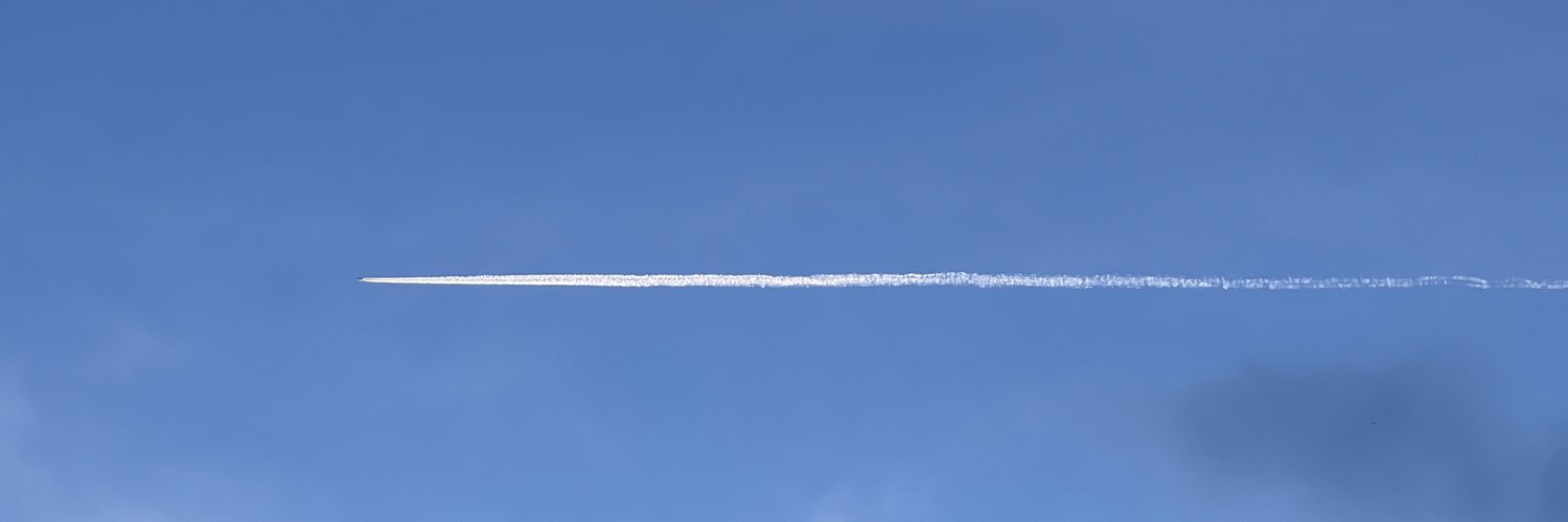desischolar's profile banner image
