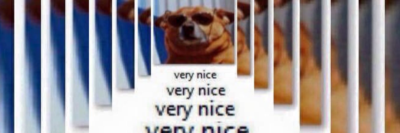 brockthebear's profile banner image