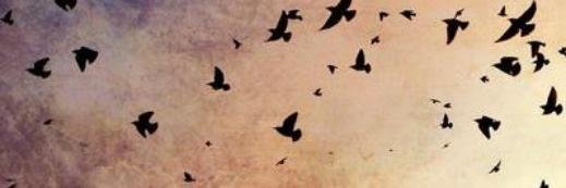 cat_ALE_jo's profile banner image