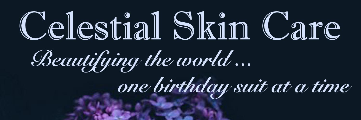 CelestialSkin13's profile banner image