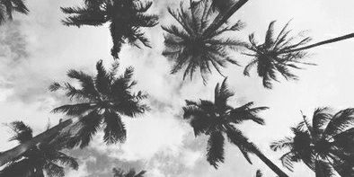 natacha_ben's profile banner image