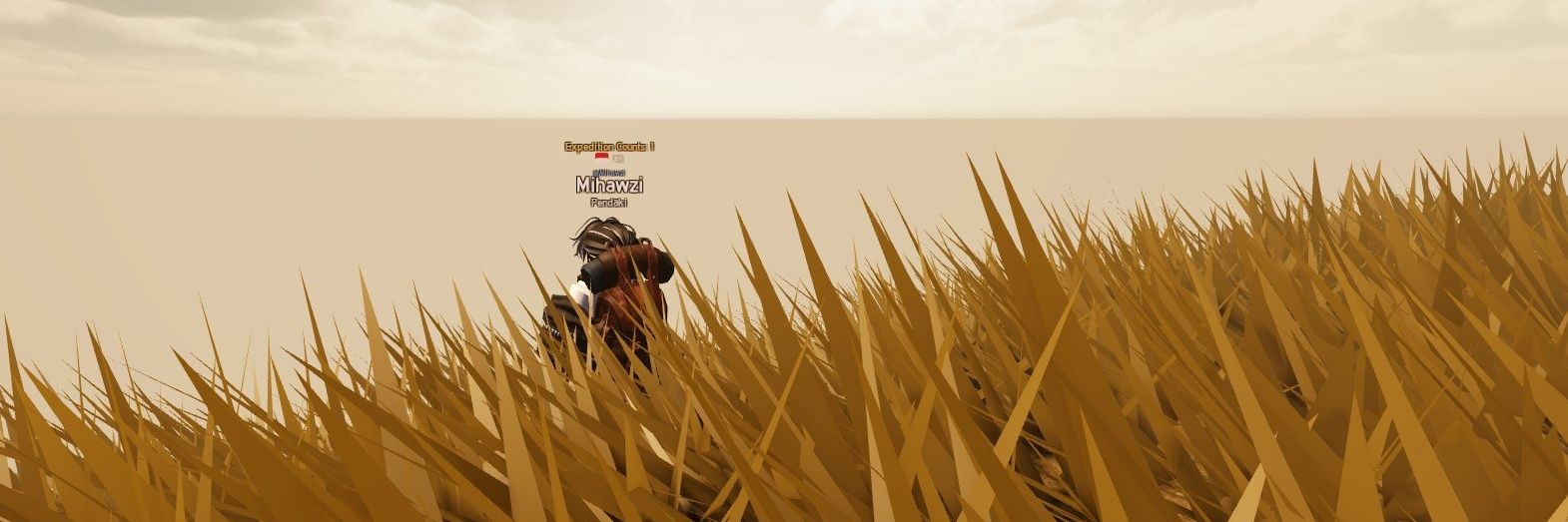 mihawzi's profile banner image
