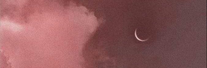 danyetrini's profile banner image