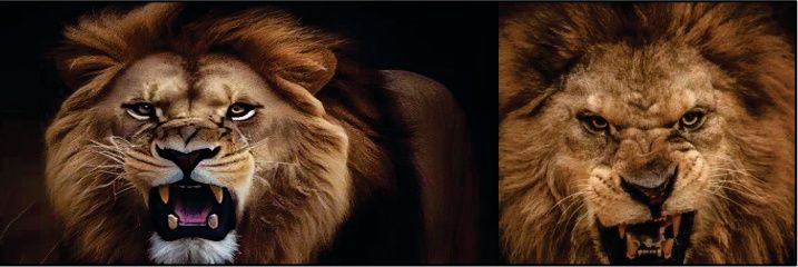 SaaloGodspower's profile banner image