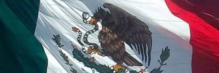 roitman80's profile banner image