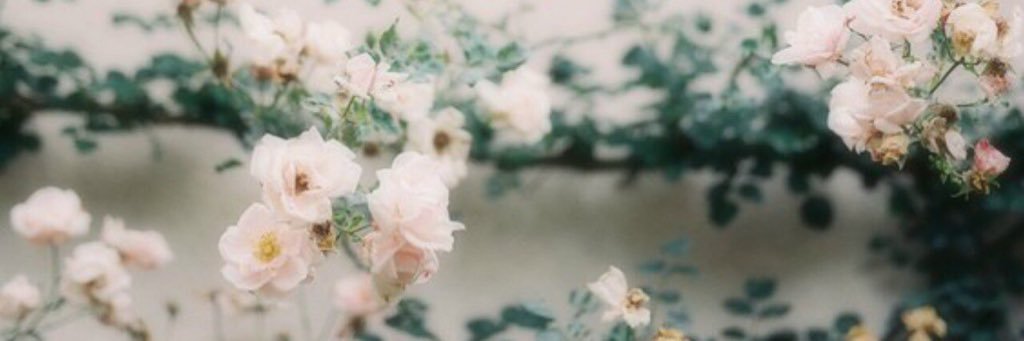 hereforjodie's profile banner image