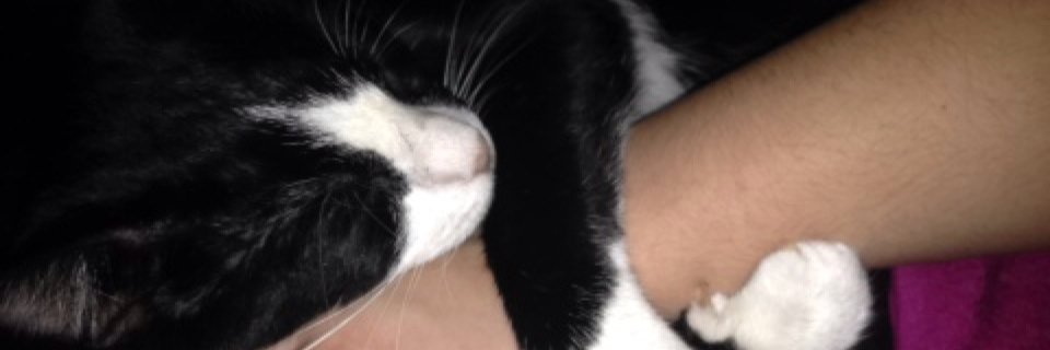 bl00d_D's profile banner image