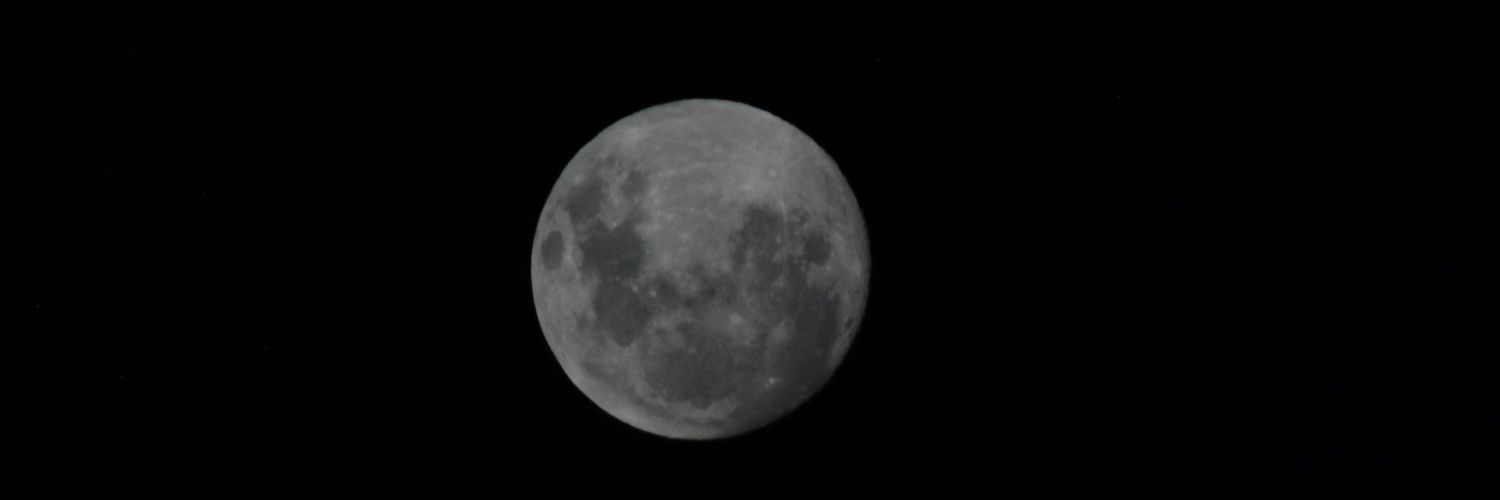 Flor_catrin's profile banner image