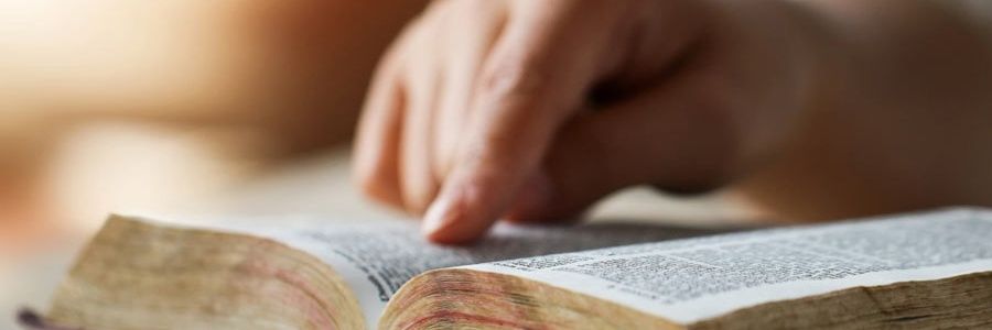 Labibliadicela's profile banner image