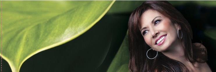 Deb Silver banner