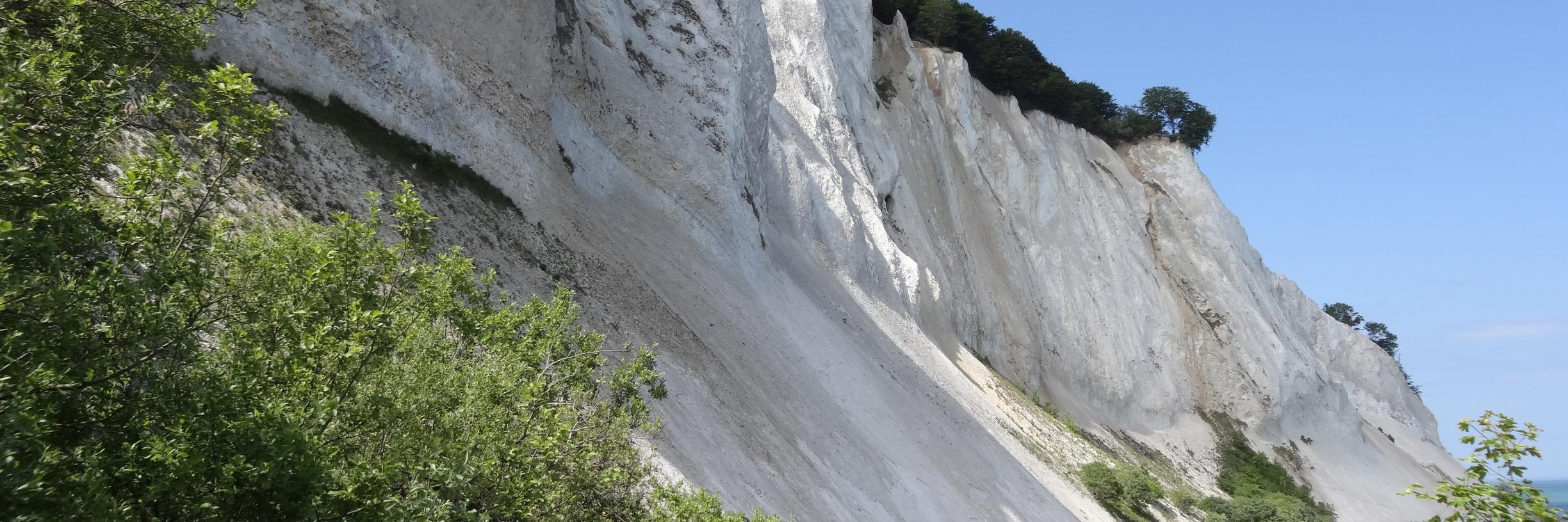 Stephan Grieb banner