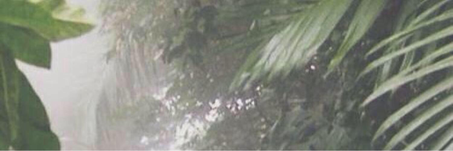 penguinisacake's profile banner image