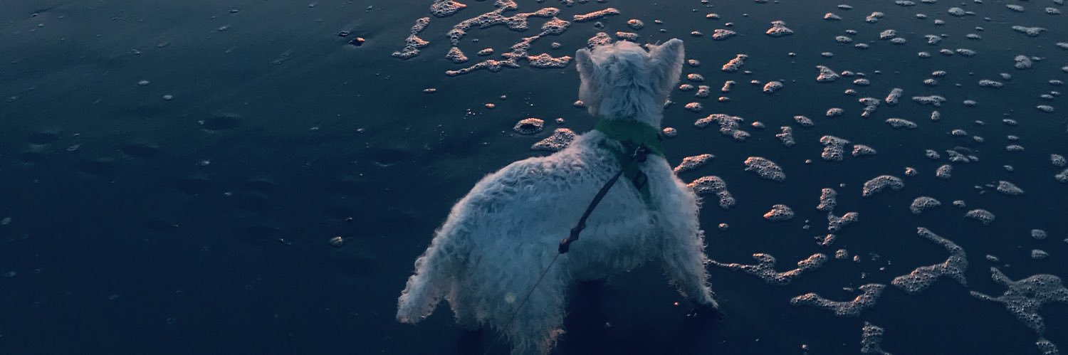 nrosborne's profile banner image