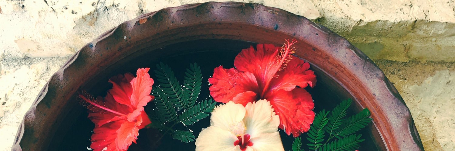 RITZY🕊️🍉 banner