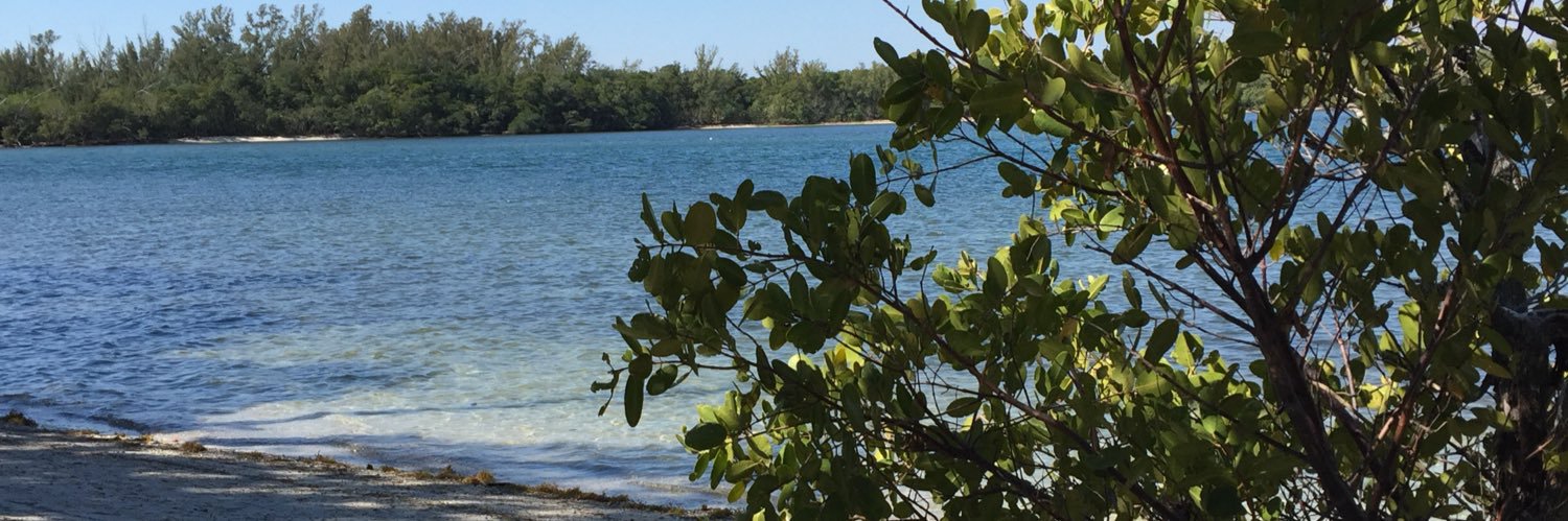 Kate Heffernan banner