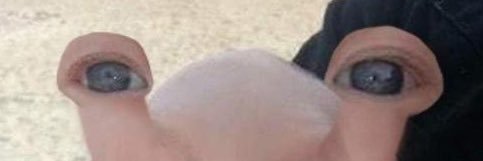 oliviaellyr's profile banner image