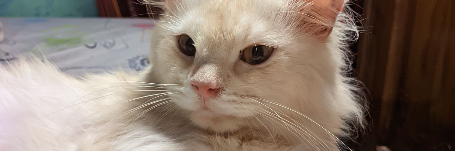 Call me caca! 🌸 banner