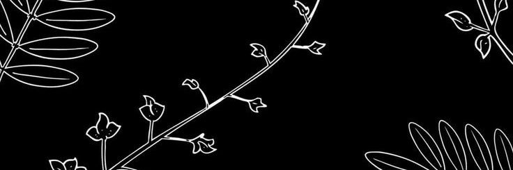 Amanda_isiss's profile banner image