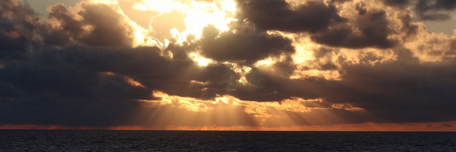 Torren_S's profile banner image