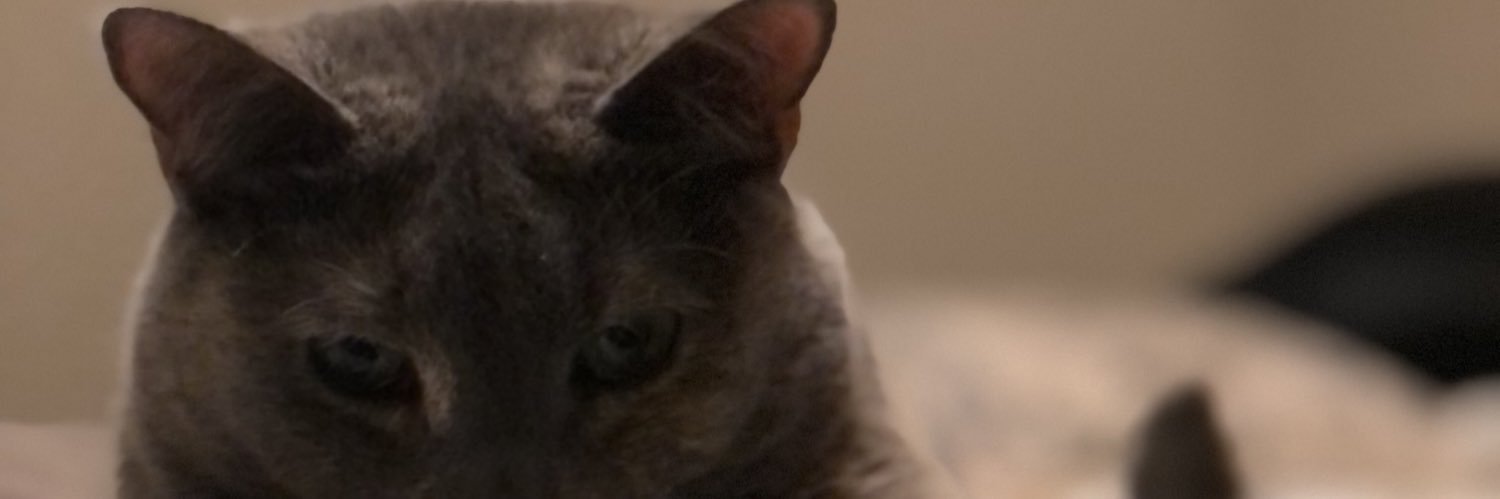 Tell_Mah's profile banner image