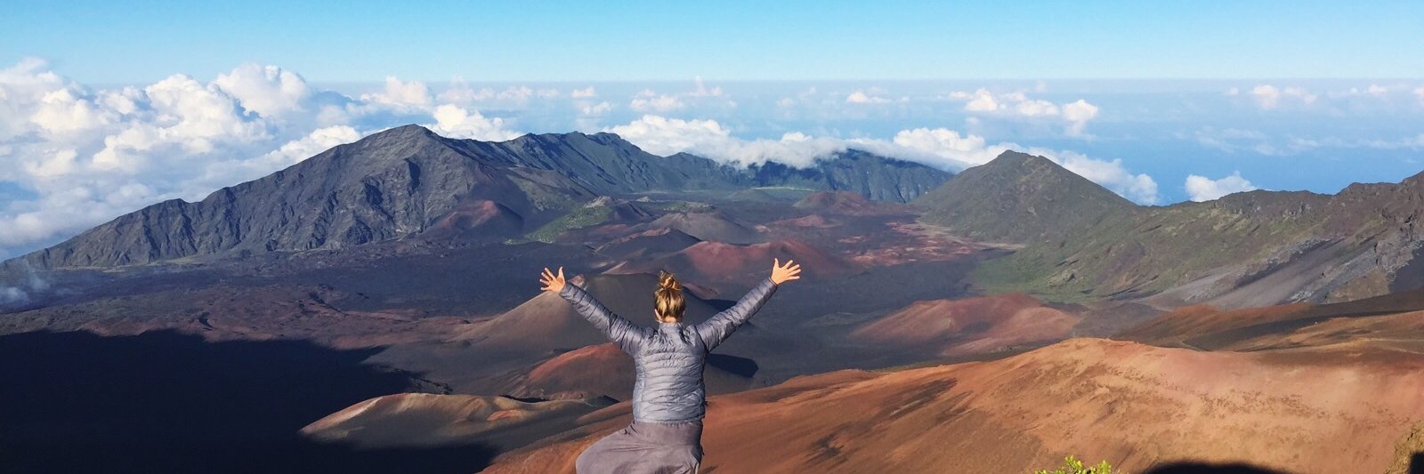 camillejulia's profile banner image