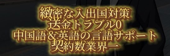 kaigai_expert2's profile banner image