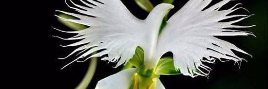 arahma_ay's profile banner image