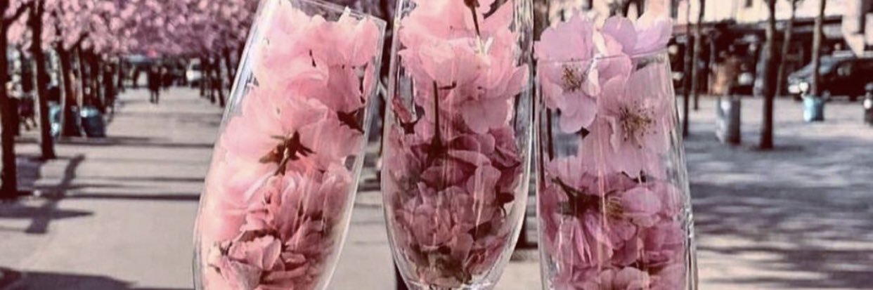 Vivian banner