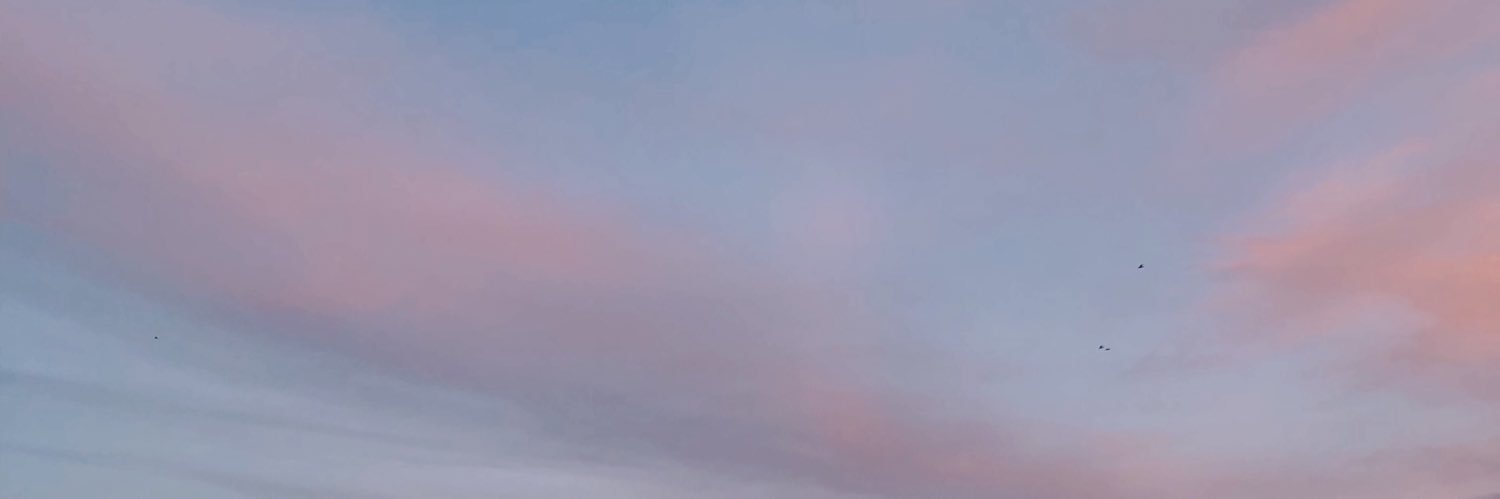 sarahjnell's profile banner image