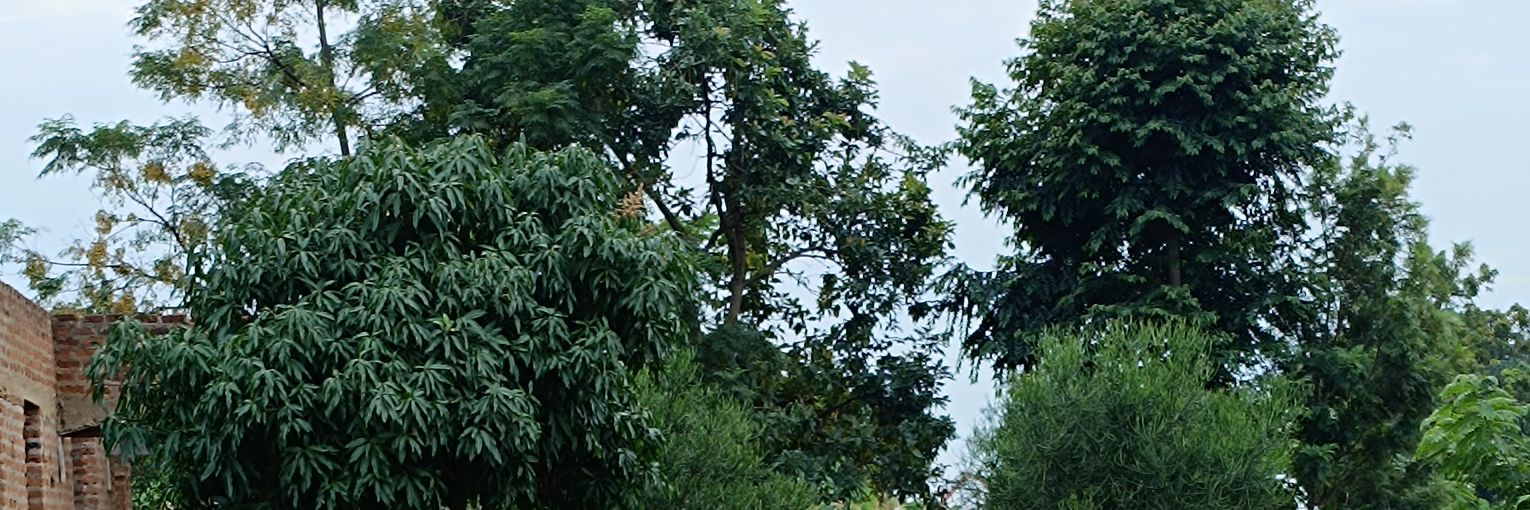Issabalikowa's profile banner image