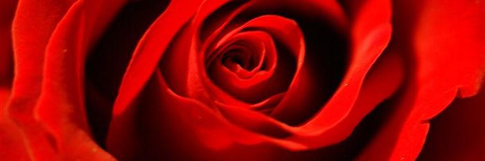 #BabeCode (139) banner