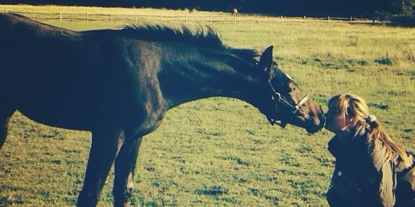 AHDressage's profile banner image