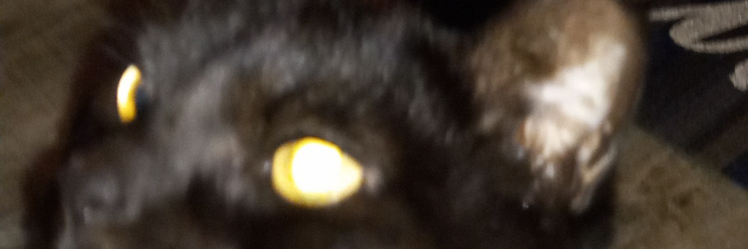 MCCASSIDY74's profile banner image