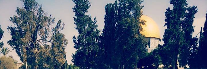 h5df5's profile banner image