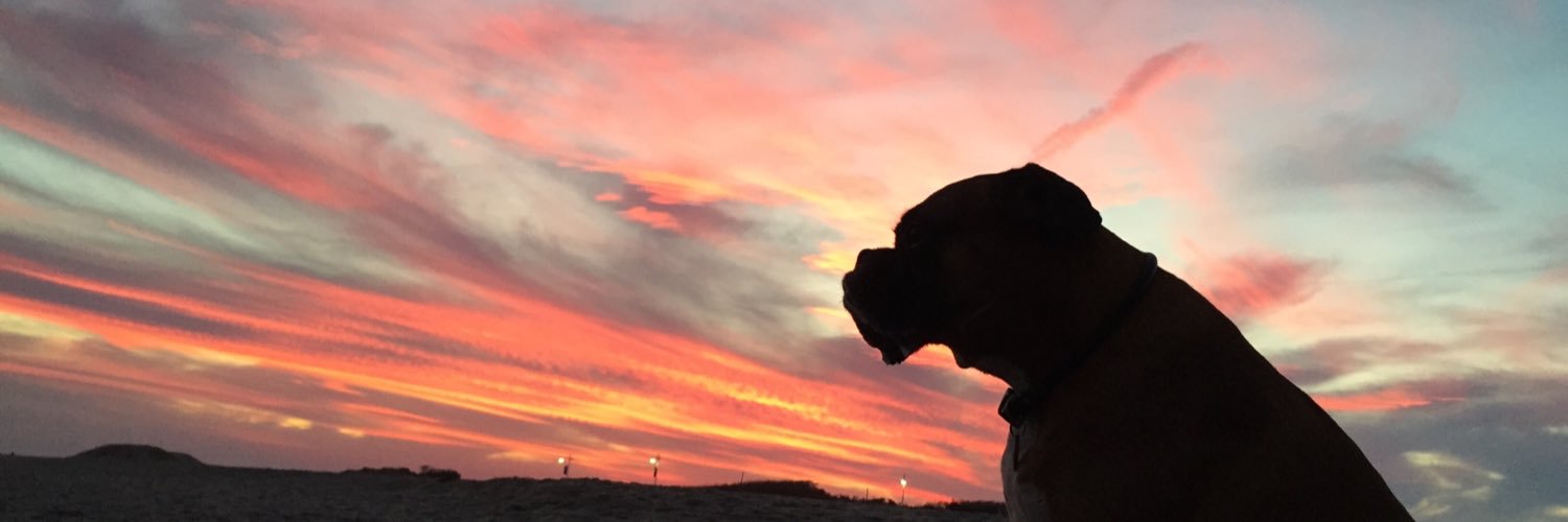 Lilah6's profile banner image