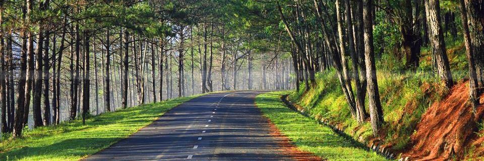 Thich Giang Huong banner