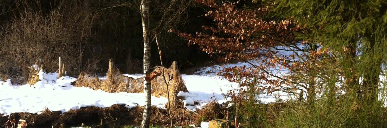 Jerry Croes 🇳🇱🇨🇦🇬🇧 banner