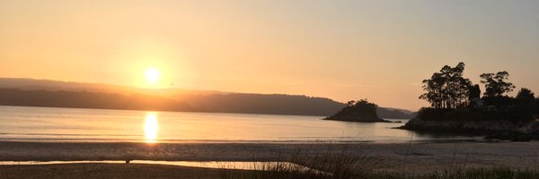 RicardRguez Profile Banner