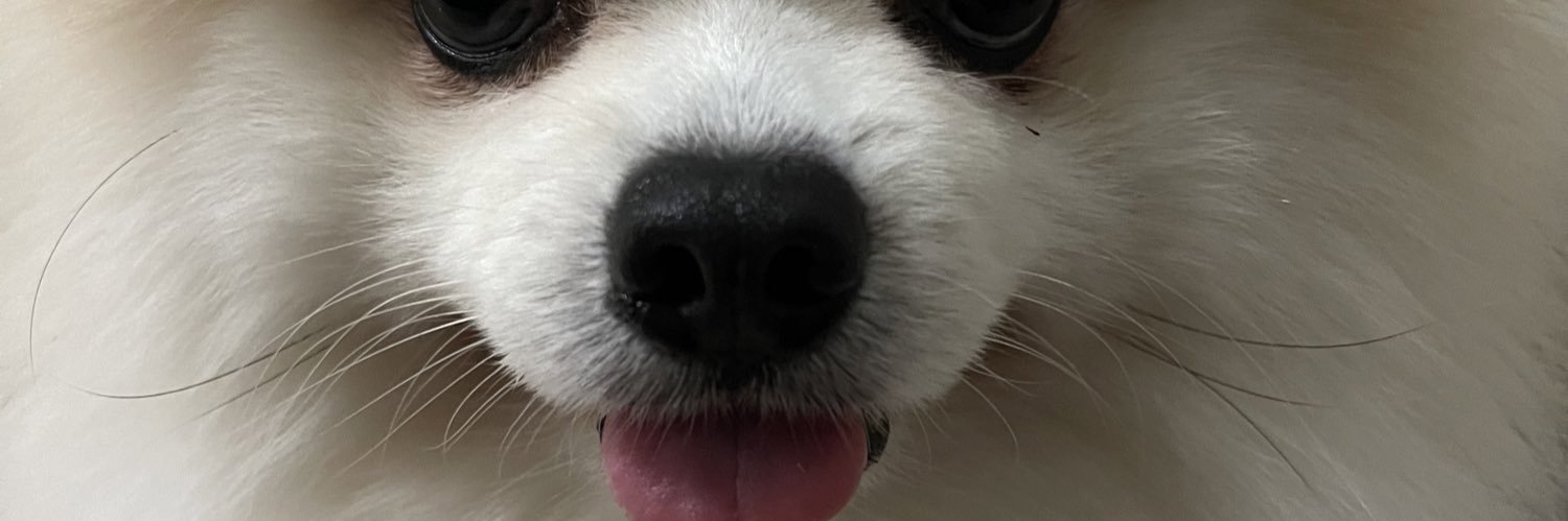 realrwpp's profile banner image