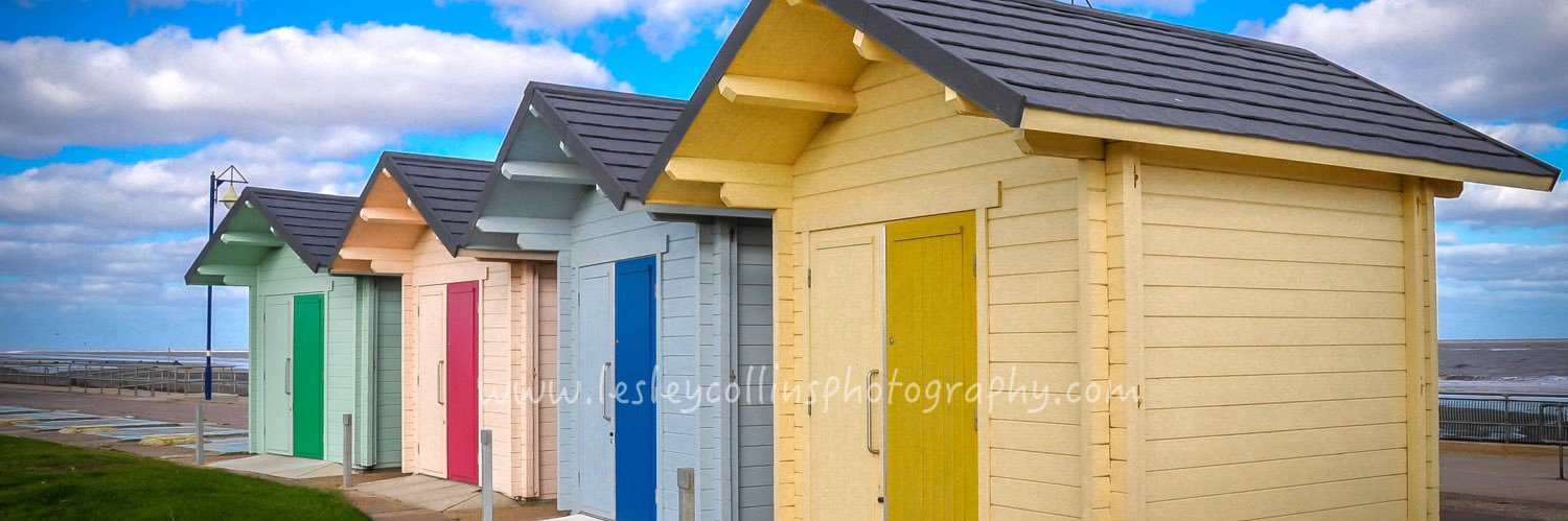 Lesley collins banner