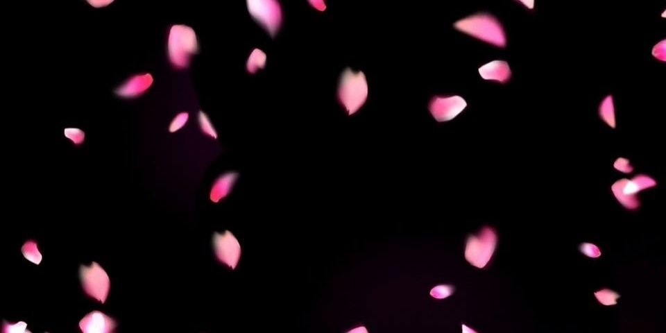 iiiostu's profile banner image