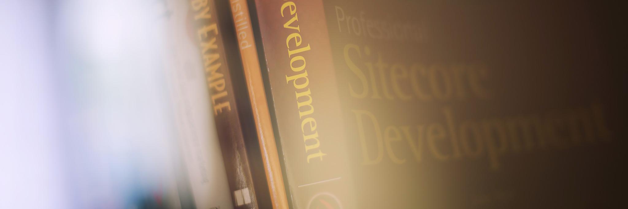 Shedal's profile banner image